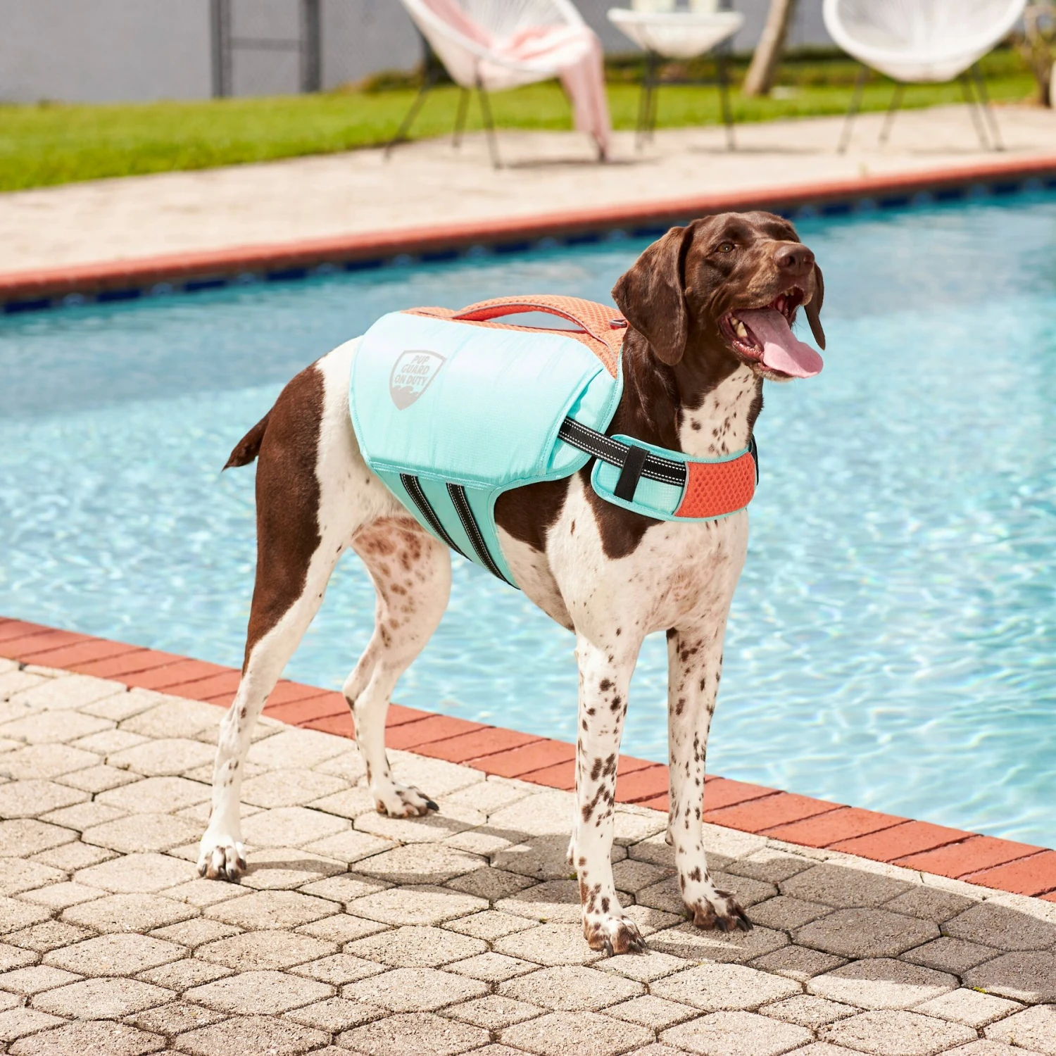 Frisco Active Dog Life Jacket 10 Frisco Active Dog Life Jacket - Image 8