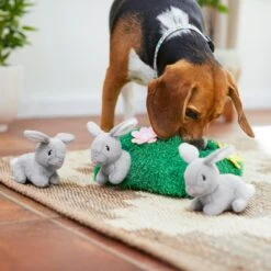 Frisco Spring Bunny Burrow Hide & Seek Plush Squeaky Dog Toy 12 Frisco Spring Bunny Burrow Hide & Seek Plush Squeaky Dog Toy -Frisco Shop 248039 PT5. AC SS1800 V1608767863