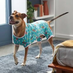 Frisco Teal Floral Dog & Cat Jersey PJs -Frisco Shop 249132 PT7. AC SS1800 V1614376401