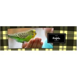 Frisco Double Walled Red Plaid Personalized Tumbler, 30-oz Cup 11 Frisco Double Walled Red Plaid Personalized Tumbler, 30-oz Cup -Frisco Shop 249346 PT2. AC SS1800 V1602029161