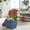 Frisco Rectangle Collapsible Pet Toy Storage Bin, Navy Herringbone 2 Frisco Rectangle Collapsible Pet Toy Storage Bin, Navy Herringbone -Frisco Shop 250574 MAIN. AC SS1800 V1615242905