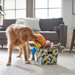 Frisco Rectangle Collapsible Pet Toy Storage Bin, Yellow Geometric -Frisco Shop 250578 PT3. AC SS1800 V1615572198