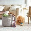 Frisco Round Collapsible Pet Toy Storage Bin, Gray Basket Weave 2 Frisco Round Collapsible Pet Toy Storage Bin, Gray Basket Weave -Frisco Shop 250585 MAIN. AC SS1800 V1615242785