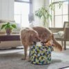 Frisco Round Collapsible Pet Toy Storage Bin, Yellow Geometric 2 Frisco Round Collapsible Pet Toy Storage Bin, Yellow Geometric -Frisco Shop 250587 MAIN. AC SS1800 V1615242941