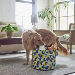 Frisco Round Collapsible Pet Toy Storage Bin, Yellow Geometric -Frisco Shop 250587 PT3. AC SS1800 V1615572147