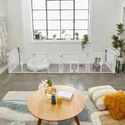 Frisco 6-Panel Plastic Exercise Dog Playpen, Light Gray 16 Frisco 6-Panel Plastic Exercise Dog Playpen, Light Gray -Frisco Shop 252045 PT6. AC SS1800 V1611090517