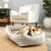 Frisco Rectangular Personalized Bolster Dog Bed W/Removable Cover, Beige, Medium -Frisco Shop 252613 MAIN. AC SS1800 V1604499149