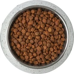 Frisco Quartz Design Stainless Steel Dog & Cat Bowl 16 Frisco Quartz Design Stainless Steel Dog & Cat Bowl -Frisco Shop 253044 PT5. AC SS1800 V1616526766