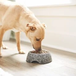 Frisco Black Marble Design Stainless Steel Dog & Cat Bowl -Frisco Shop 253048 PT2. AC SS1800 V1616526446