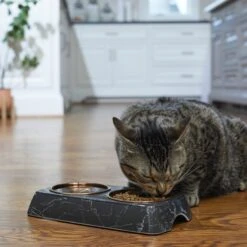 Frisco Copper Stainless Steel Double Dog & Cat Bowls With Black Marble Stand -Frisco Shop 253058 PT2. AC SS1800 V1616594213