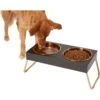 Frisco Copper Stainless Steel Elevated Foldable Double Dog & Cat Bowls 1 Frisco Copper Stainless Steel Elevated Foldable Double Dog & Cat Bowls -Frisco Shop 253060 MAIN. AC SS1800 V1616073913