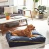 Frisco Faux Felt Zipper Pillow Cat & Dog Bed 2 Frisco Faux Felt Zipper Pillow Cat & Dog Bed -Frisco Shop 255158 MAIN. AC SS1800 V1616011383