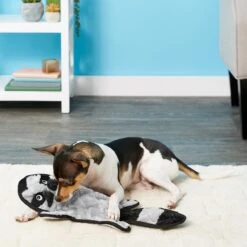 Frisco Alligator Stuffing-Free Flat Plush Squeaky Dog Toy & Frisco Raccoon Stuffing-Free Flat Plush Squeaky Dog Toy 11 Frisco Alligator Stuffing-Free Flat Plush Squeaky Dog Toy & Frisco Raccoon Stuffing-Free Flat Plush Squeaky Dog Toy -Frisco Shop 255471 PT4. AC SS1800 V1602691287