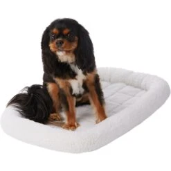 Frisco Heavy Duty Fold & Carry Single Door Collapsible Wire Dog Crate & Frisco Quilted Dog Crate Mat -Frisco Shop 255551 PT4. AC SS1800 V1604096523