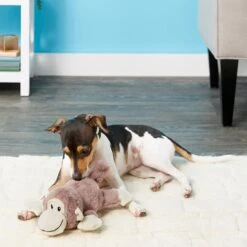 Frisco Monkey Plush Squeaky Dog Toy & Frisco Fox Plush Squeaky Dog Toy 9 Frisco Monkey Plush Squeaky Dog Toy & Frisco Fox Plush Squeaky Dog Toy -Frisco Shop 255597 PT2. AC SS1800 V1602702685