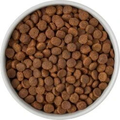 Frisco Ceramic Food Dog & Cat Bowl With Wood Base 12 Frisco Ceramic Food Dog & Cat Bowl With Wood Base -Frisco Shop 256043 PT6. AC SS1800 V1615311151