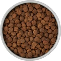 Frisco Marble Design Non-skid Ceramic Dog & Cat Bowl 15 Frisco Marble Design Non-skid Ceramic Dog & Cat Bowl -Frisco Shop 256056 PT6. AC SS1800 V1615310860