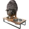 Frisco Wood Elevated Non-Skid Stainless Steel Double Diner Dog & Cat Bowl 2 Frisco Wood Elevated Non-Skid Stainless Steel Double Diner Dog & Cat Bowl -Frisco Shop 257143 MAIN. AC SS1800 V1615913797