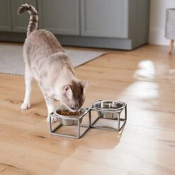 Frisco Elevated Diamond Stainless Steel Double Diner Dog & Cat Bowl 14 Frisco Elevated Diamond Stainless Steel Double Diner Dog & Cat Bowl -Frisco Shop 257147 PT5. AC SS1800 V1615989105