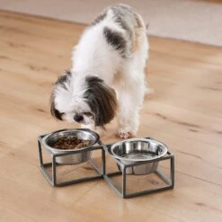 Frisco Elevated Diamond Stainless Steel Double Diner Dog & Cat Bowl 15 Frisco Elevated Diamond Stainless Steel Double Diner Dog & Cat Bowl -Frisco Shop 257147 PT8. AC SS1800 V1615840442