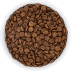 Frisco Bohemian Non-Skid Stainless Steel Dog & Cat Bowl 15 Frisco Bohemian Non-Skid Stainless Steel Dog & Cat Bowl -Frisco Shop 257195 PT4. AC SS1800 V1615311089