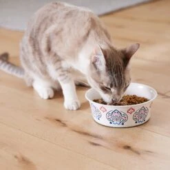 Frisco Bohemian Non-Skid Stainless Steel Dog & Cat Bowl 18 Frisco Bohemian Non-Skid Stainless Steel Dog & Cat Bowl -Frisco Shop 257195 PT7. AC SS1800 V1615989147