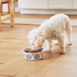 Frisco Bohemian Non-Skid Stainless Steel Dog & Cat Bowl 19 Frisco Bohemian Non-Skid Stainless Steel Dog & Cat Bowl -Frisco Shop 257195 PT8. AC SS1800 V1615932115