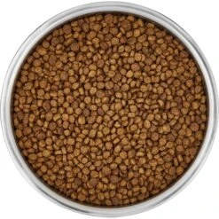 Frisco Insulated Non-Skid Stainless Steel Dog & Cat Bowl 14 Frisco Insulated Non-Skid Stainless Steel Dog & Cat Bowl -Frisco Shop 261757 PT4. AC SS1800 V1623937392