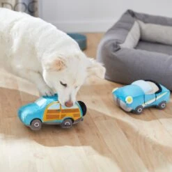 Frisco Road Trip Cruisers Plush Squeaky Dog Toy, 2 Count 7 Frisco Road Trip Cruisers Plush Squeaky Dog Toy, 2 Count -Frisco Shop 261982 PT3. AC SS1800 V1618598560