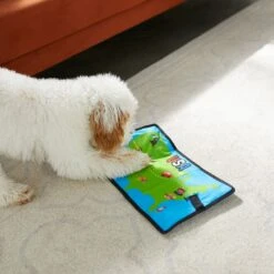 Frisco Road Trip Foldable Map Flat Plush Squeaky Dog Toy 11 Frisco Road Trip Foldable Map Flat Plush Squeaky Dog Toy -Frisco Shop 261998 PT4. AC SS1800 V1619791937