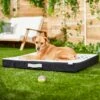 Frisco Indoor/Outdoor Arrow Print Pillow Dog Bed W/Removable Cover 1 Frisco Indoor/Outdoor Arrow Print Pillow Dog Bed W/Removable Cover -Frisco Shop 262153 MAIN. AC SS1800 V1619807962