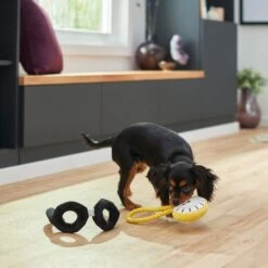 Frisco Magic Pocket Watch & Glasses Plush Squeaky Dog Toy, 2 Count -Frisco Shop 265590 PT3. AC SS1800 V1620938935