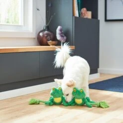 Frisco Magic Frog Plush With Rope Squeaky Dog Toy 7 Frisco Magic Frog Plush With Rope Squeaky Dog Toy -Frisco Shop 265606 PT3. AC SS1800 V1620938889