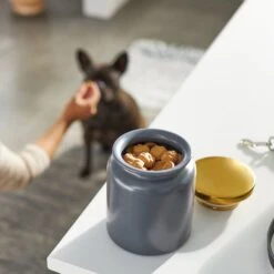 Frisco Modern Gold Rim Ceramic Treat Jar -Frisco Shop 270190 PT2. AC SS1800 V1620762371