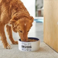 Frisco Food & Paw Non-skid Ceramic Dog Bowl -Frisco Shop 270195 PT2. AC SS1800 V1620762027