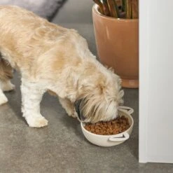 Frisco Dog Face Non-skid Ceramic Cat & Dog Bowl 10 Frisco Dog Face Non-skid Ceramic Cat & Dog Bowl -Frisco Shop 270226 PT2. AC SS1800 V1620762156