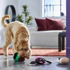 Frisco Halloween Cupcakes Plush Squeaky Dog Toy 9 Frisco Halloween Cupcakes Plush Squeaky Dog Toy -Frisco Shop 270367 PT3. AC SS1800 V1624817674