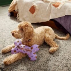 Frisco Halloween My First Halloween Bone Reversible Plush Squeaky Dog Toy 11 Frisco Halloween My First Halloween Bone Reversible Plush Squeaky Dog Toy -Frisco Shop 270452 PT3. AC SS1800 V1624817314