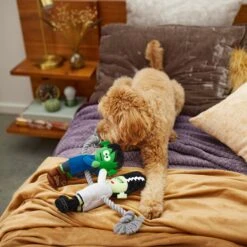 Frisco Halloween Frankenstein & Bride Plush With Rope Squeaky Dog Toy 9 Frisco Halloween Frankenstein & Bride Plush With Rope Squeaky Dog Toy -Frisco Shop 270496 PT3. AC SS1800 V1624824775