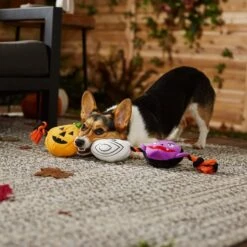 Frisco Halloween Haunted Friends Plush With Rope Squeaky Dog Toy 9 Frisco Halloween Haunted Friends Plush With Rope Squeaky Dog Toy -Frisco Shop 270500 PT3. AC SS1800 V1624825043