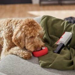 Frisco Halloween Vampire Teeth & Knife Latex Squeaky Dog Toy -Frisco Shop 270512 PT3. AC SS1800 V1624817093