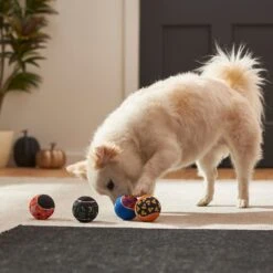 Frisco Halloween Glow In The Dark Fetch Squeaky Tennis Ball Dog Toy 11 Frisco Halloween Glow In The Dark Fetch Squeaky Tennis Ball Dog Toy -Frisco Shop 270525 PT3. AC SS1800 V1624824980