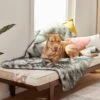 Frisco Faux Fur Cat & Dog Blanket 2 Frisco Faux Fur Cat & Dog Blanket -Frisco Shop 270901 MAIN. AC SS1800 V1626881875