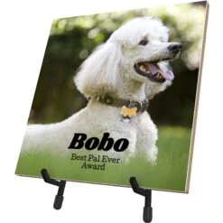 Frisco Personalized Basic Ceramic Photo Tile With Stand