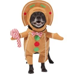 Frisco Front Walking Gingerbread Dog & Cat Costume