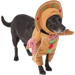 Frisco Front Walking Gingerbread Dog & Cat Costume 12 Frisco Front Walking Gingerbread Dog & Cat Costume -Frisco Shop 276156 PT3. AC SS1800 V1631660334