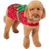 Frisco Holiday Giftbox Dog & Cat Costume -Frisco Shop 276175 MAIN. AC SS1800 V1631672803