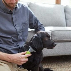 Frisco Soft Slicker Dog Brush, One Size & Frisco Deshedding Dog & Cat Brush 15 Frisco Soft Slicker Dog Brush, One Size & Frisco Deshedding Dog & Cat Brush -Frisco Shop 276229 PT6. AC SS1800 V1616191886