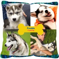 Frisco "Contemporary #2" Throw Pillow 16 X 16 -Frisco Shop 276901 PT2. AC SS1800 V1625686286