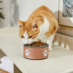 Frisco Paw Print Non-Skid Stainless Steel Dog & Cat Bowl 12 Frisco Paw Print Non-Skid Stainless Steel Dog & Cat Bowl -Frisco Shop 277546 PT3. AC SS1800 V1630347716